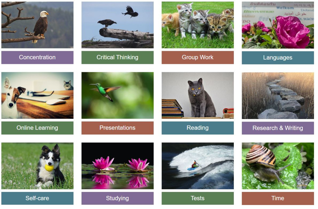 A screen shot from the Camosun Library LibGuide website.