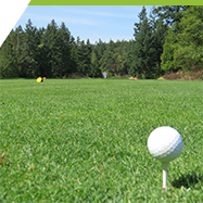 A golf ball in a field with Camosun branded borders.