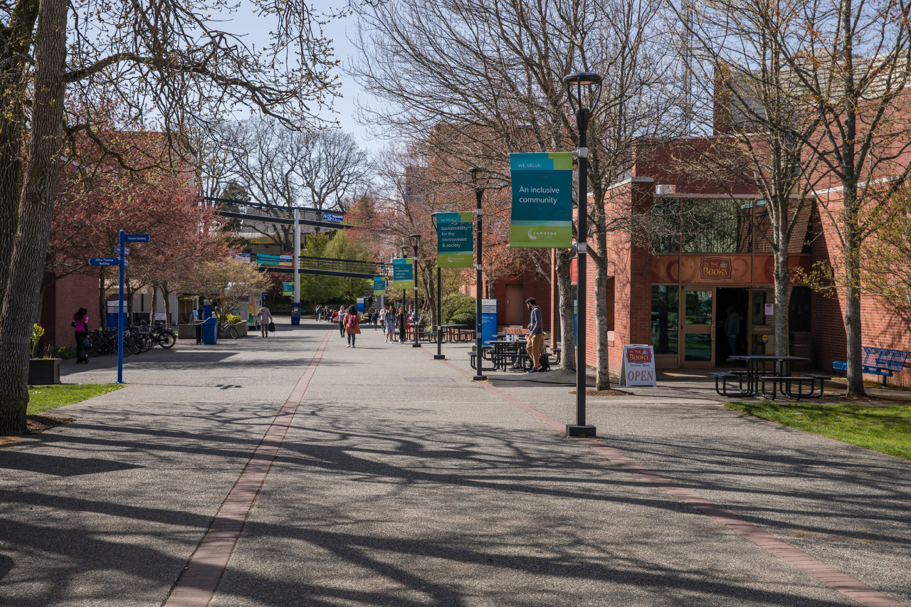 Looking down the walkway next to Dawson building, Lansdowne campus.