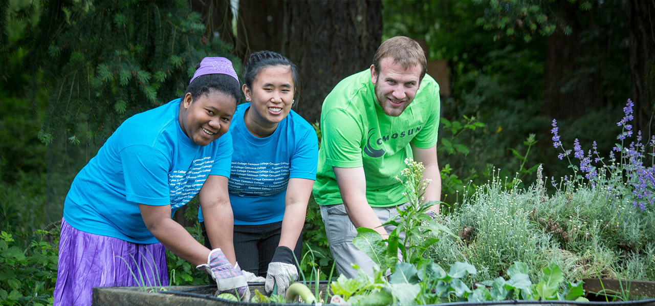 Working in the edible community garden