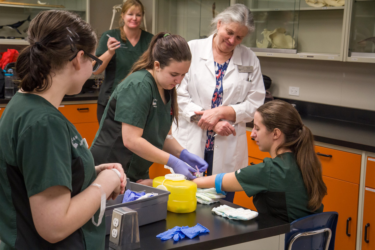 a Medical Laboratory Assistant student practices drawing blood in the lab 