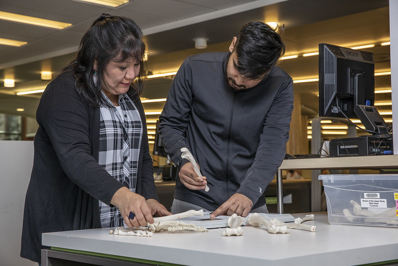 Using kits at the Lansdowne Library