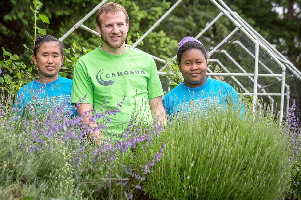 Employment and Training Program students working in a community garden