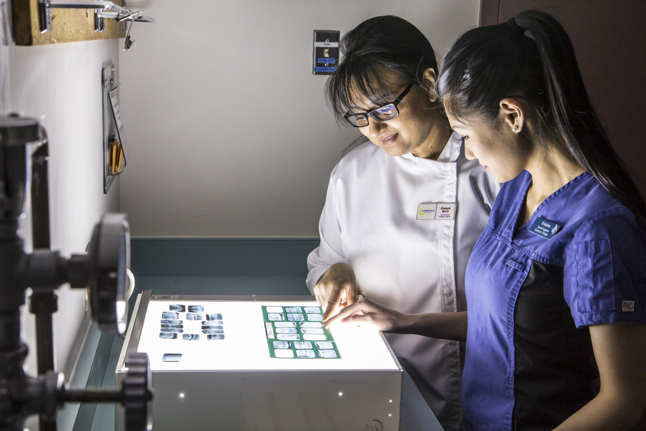 Dental instructor reviews x-rays of people's teeth with a student