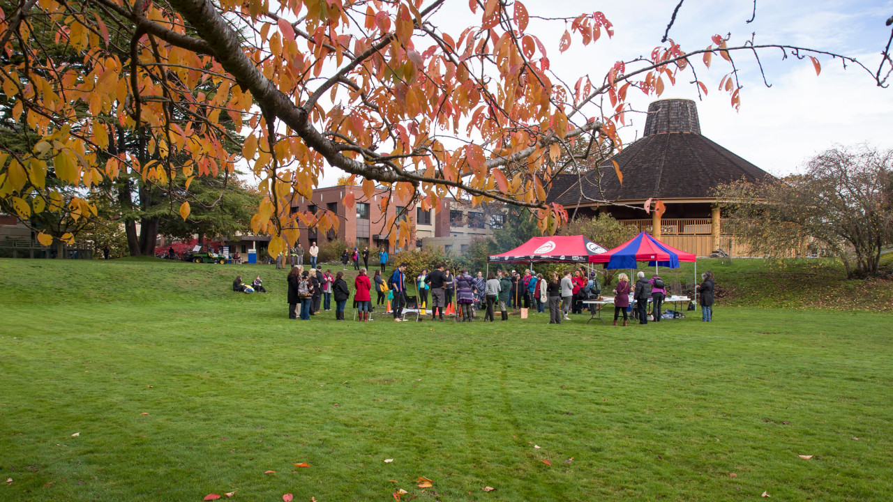 a group of indigenous people and settlers roast campus bulbs and salmon over an open fire on the campus green