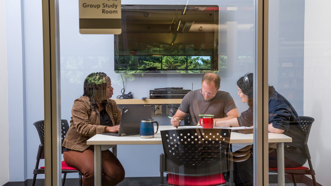 students working in a private study room in the library