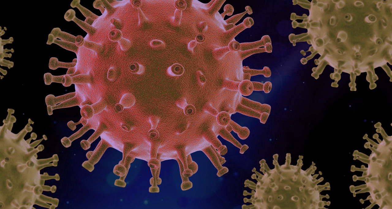Illustration of the COVID 19 virus