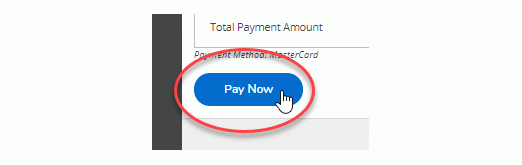 4. Review the items you selected and click the 'Pay Now' button to be redirected to the PayPal screen.
