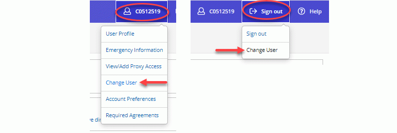 Click "Change User" in either the User Options or Sign Out Menus