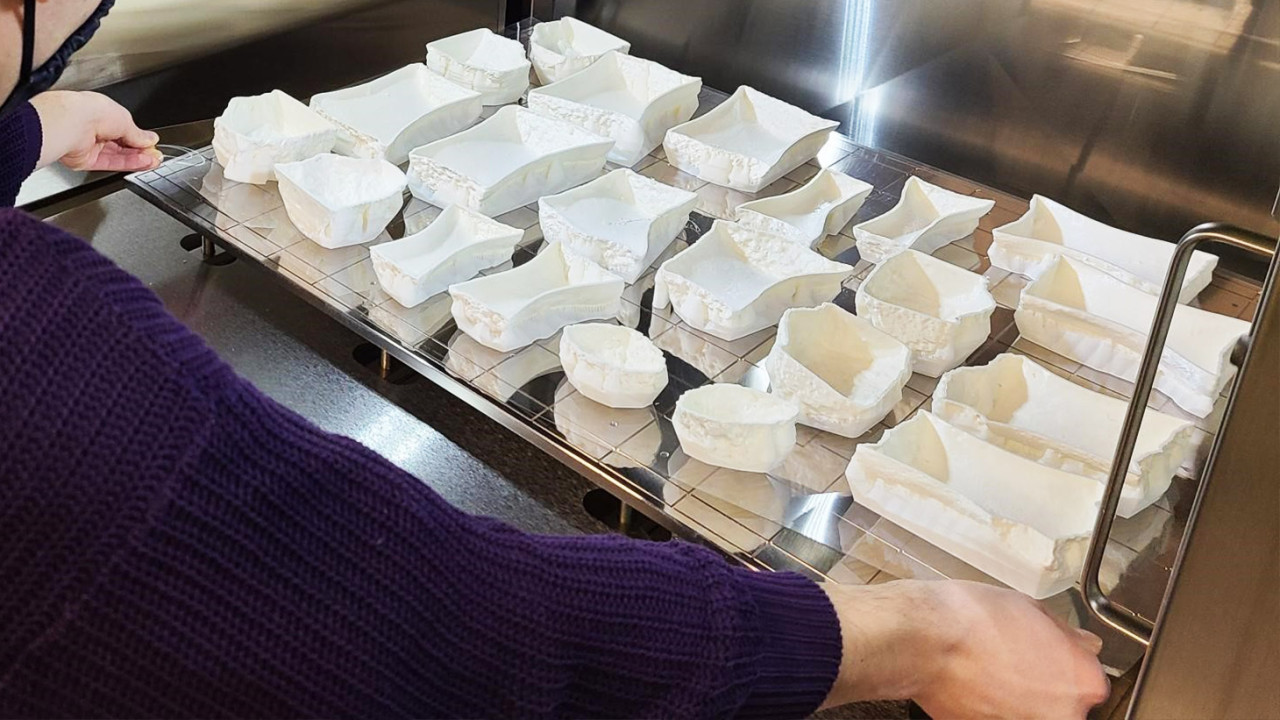 Baking replicas of bone fragments