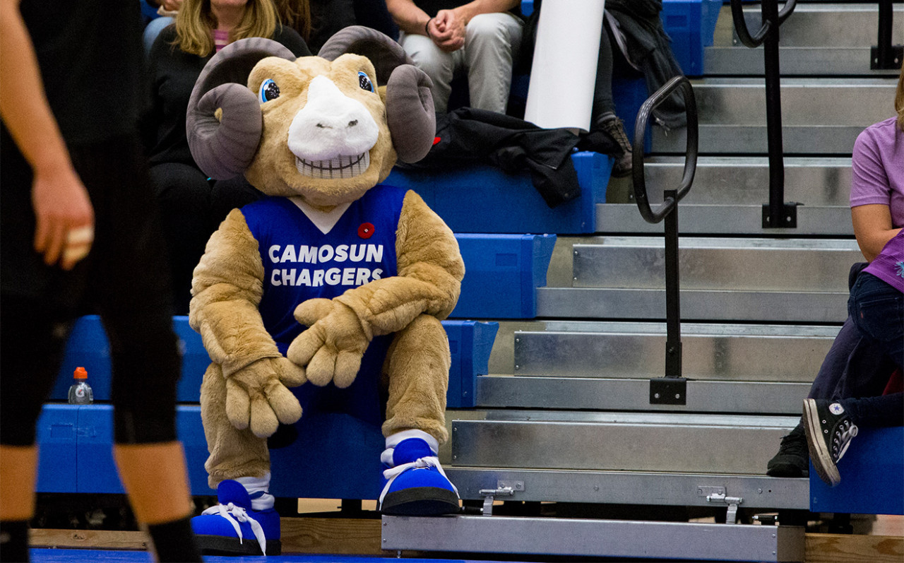 The Chargers mascot Ramsey, a giant mount ram, in the Stands at a game