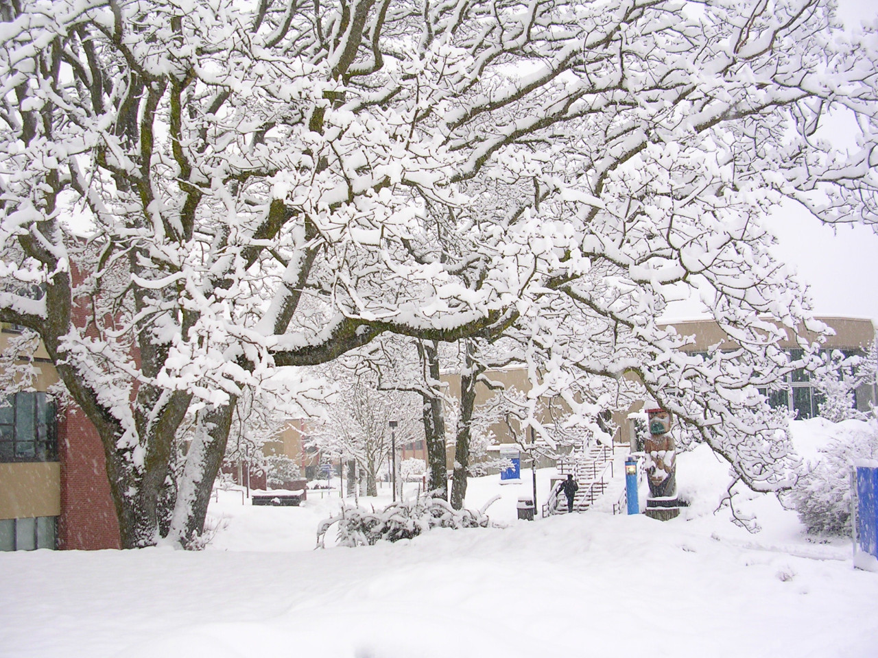 Snow on Campus