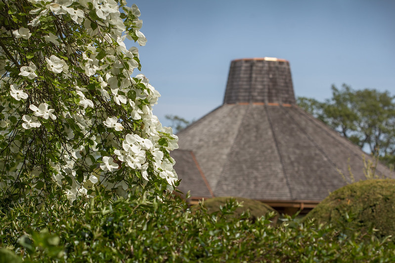 Na'tsa'maht seen through spring flowers