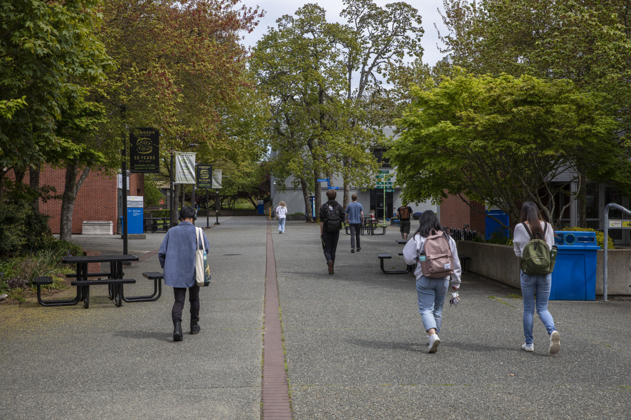 Campus photographer showing the back of a small number of students who are walking away from the camera with green shrubbery and a couple of Camosun 50th anniversary banners.