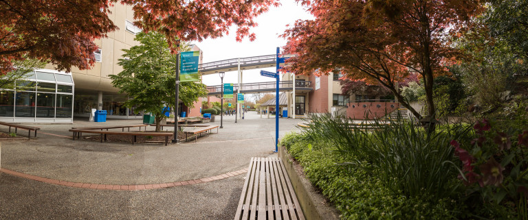 An outdoor wide angle photo of the Lansdowne campus main walkway.